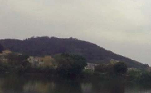 水库管理年度总结