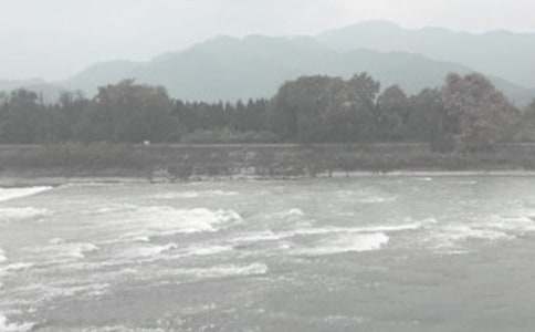 ˮ��������Ŀ�������չ����ܽᣨ��ѡ12ƪ��