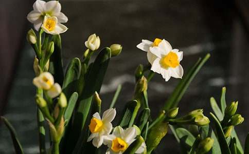 ˮ�ɵ�����600�֣���ѡ6ƪ��