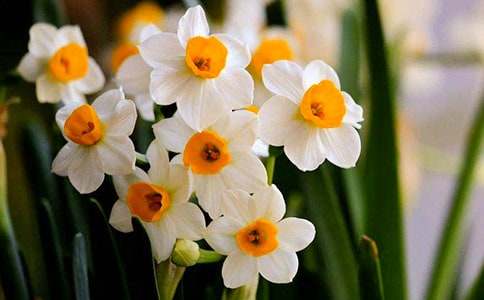 ˮ�ɻ��۲��ռǡ��Ƽ���