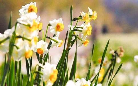 ����ˮ�ɻ�������