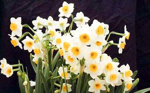 ˮ�ɻ��۲��ռ�(����15ƪ)