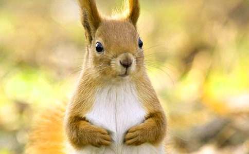 ���ܽ����������󡷶����