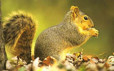 �ɰ�����������15ƪ�����㣩