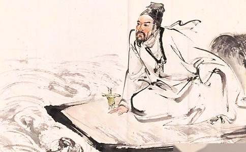 我眼中的苏轼作文(经典)