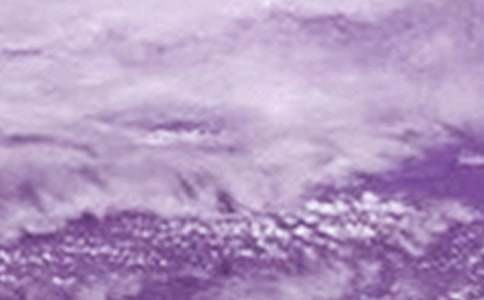 台风的作文15篇(优秀)