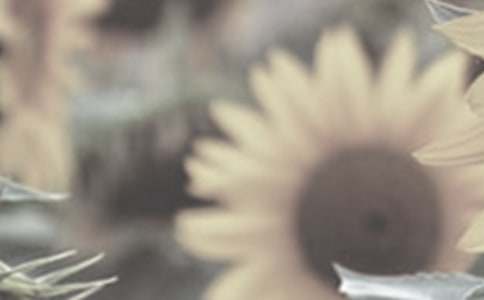 ̫����������600����ƪ