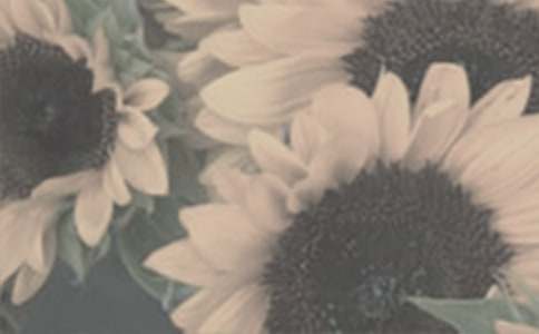 ̫��������600�֣�ͨ��33ƪ��