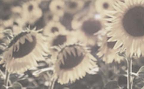 ʵ�õ�̫�������꼶����4ƪ