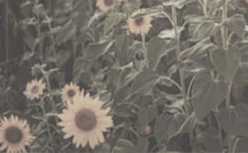 ̫�������꼶������ƪ