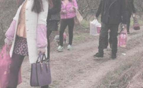 ̽�׼�����