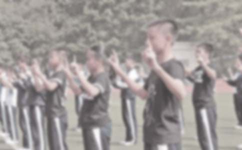 ����������ѧ�����ƻ�(��Ʒ15ƪ)