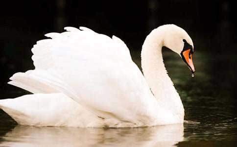 ����С�ŵ���졷����С��ȡ�