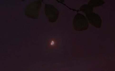 2025年常用优美的晚安心语短信汇编46条