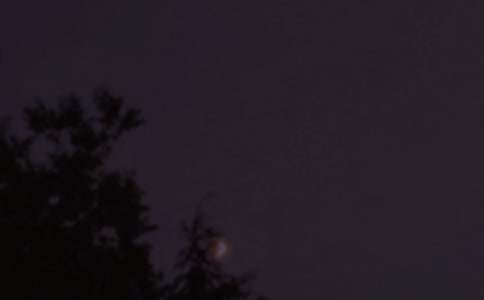 ������������˵˵����55��