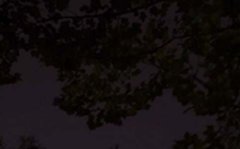 ���������������������46��