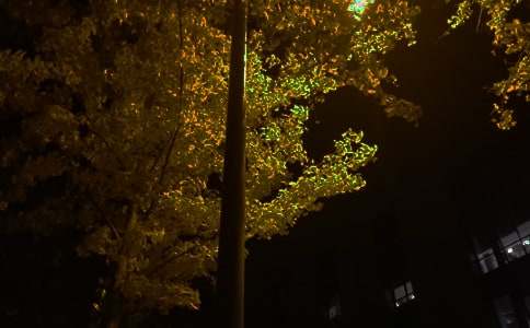 �򵥵������������ժ¼48��