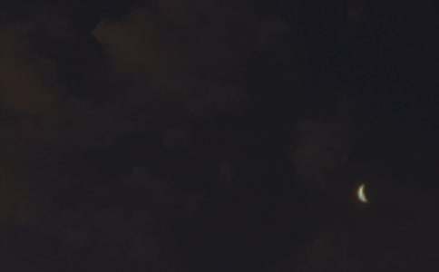 【热门】唯美的晚安心语短信大汇总55条