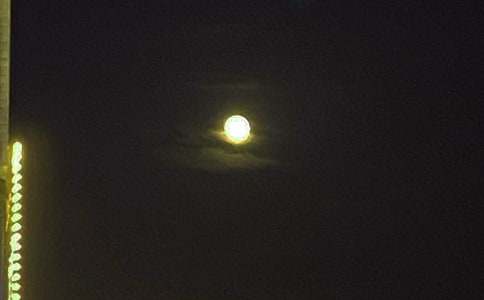 �й�Ψ���������������41��