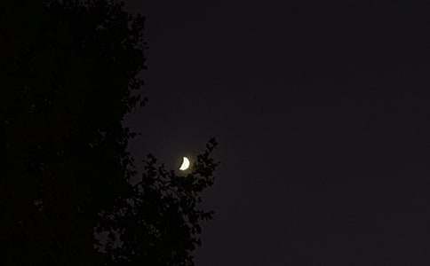 2021年有关优美的晚安心语短信集锦87条