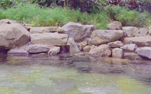 ��Ȫ�μ����İ�ƪ