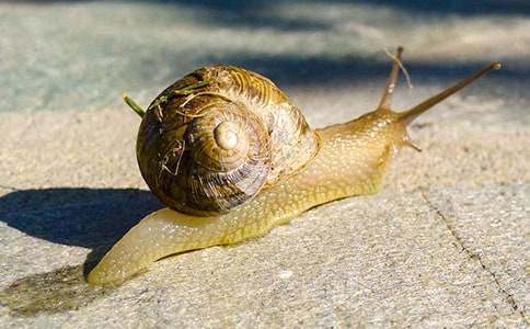 �й���ţ�ռǻ��ܾ�ƪ