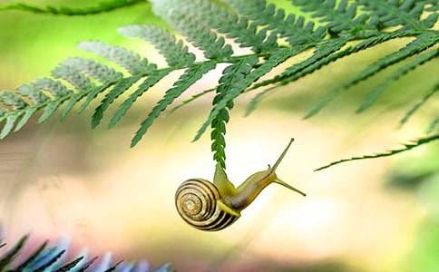 ��ţ�۲��ռ�(���15ƪ)