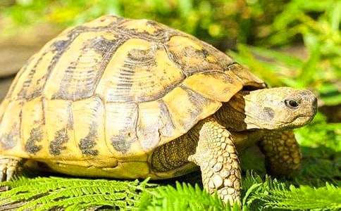 �ڹ�Ĺ۲��ռ�ͨ��15ƪ