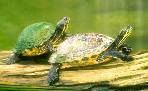 С�ڹ�۲��ռ�(15ƪ)