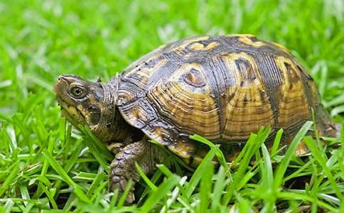 �ڹ�۲��ռ�(ͨ��15ƪ)