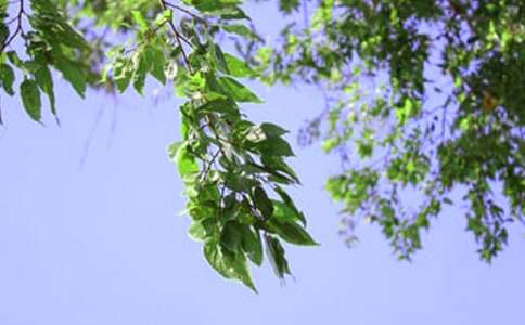 2021������ϵ�簲QQ�ʺ������76��