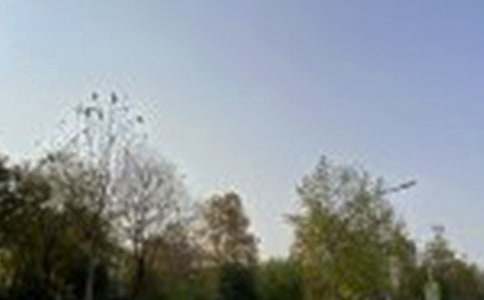 �����簲���ţ���ѡ60�䣩