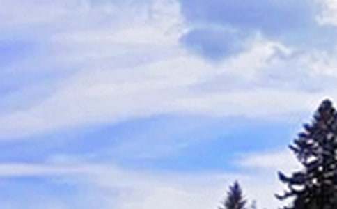 ��������簲����