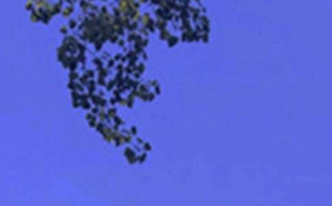 ���õ��簲�ʺ��Ｏ��69��