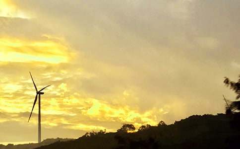 �簲������Ż���81��