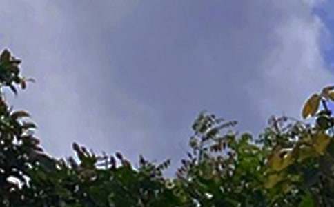 2026���������簲�ʺ�����Ŵ󼯺�73��