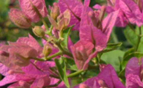 ��ů���簲΢���ʺ�����69��