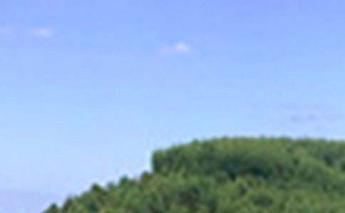 Ψ�����簲�ʺ���ժ¼38��