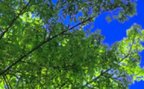 ��ů���簲QQ�ʺ���48��