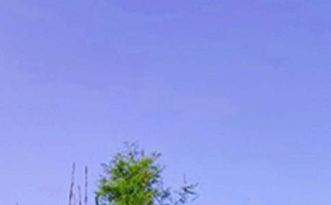 2026���簲������Ŵ����55��