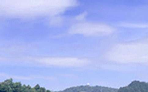 2026年优美的午安问候语短信大汇总88条