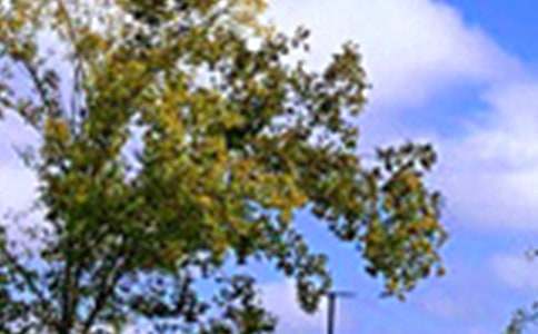 2026����ů���簲QQ�ʺ��Ｏ��74��