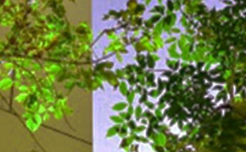 �����簲˵˵��ͨ��40�䣩