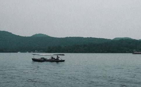 ������Сѧ����������