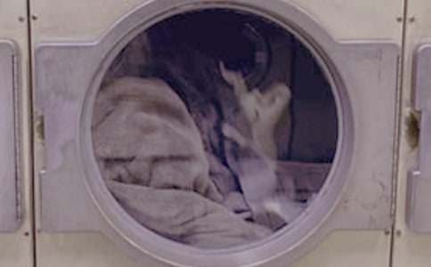 ϴ�·���ȹ����ܽ᷶��