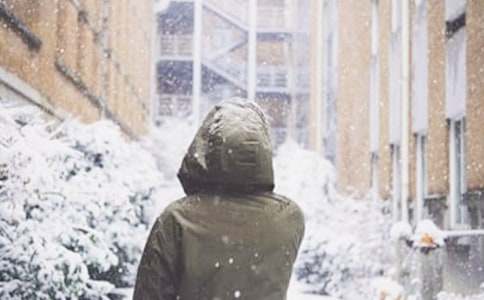 ��ѩ�����ġ�����15ƪ��