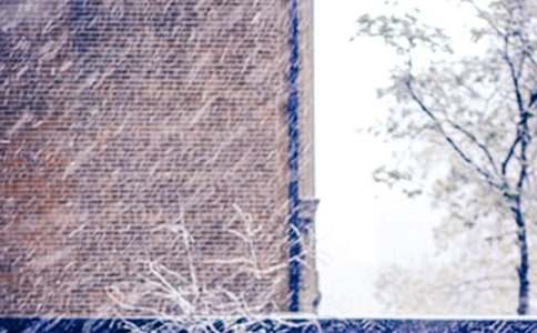 (优秀)下雪了作文15篇