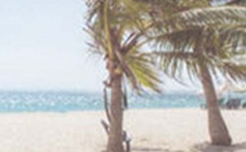 ̸̸�ļ�����