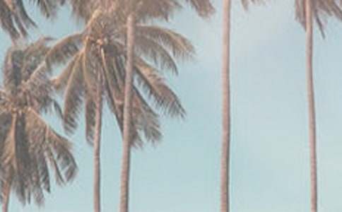 【推荐】夏季周末问候短信