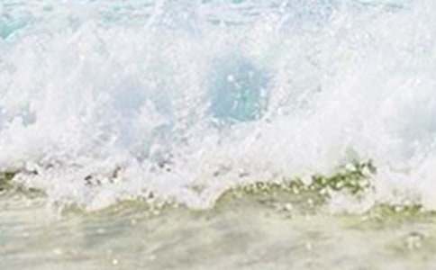 Сѧ���꼶������������